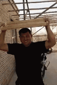 d37fb4bc5b0643b8b2a6427ff7438a67.gif