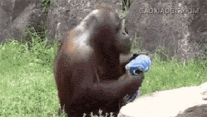 04d88c7beb3ba16032ee5ea29832c507.gif