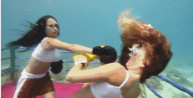 t01b3cd3b12953c25ee.gif