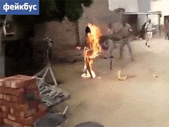 12a98c5e15b238ffa9aa9925f625686b.gif