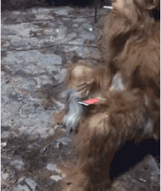 c51693a6ba3b433083bf3aeecb7979a6.gif