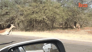 t010a22c9732cf133a1.gif