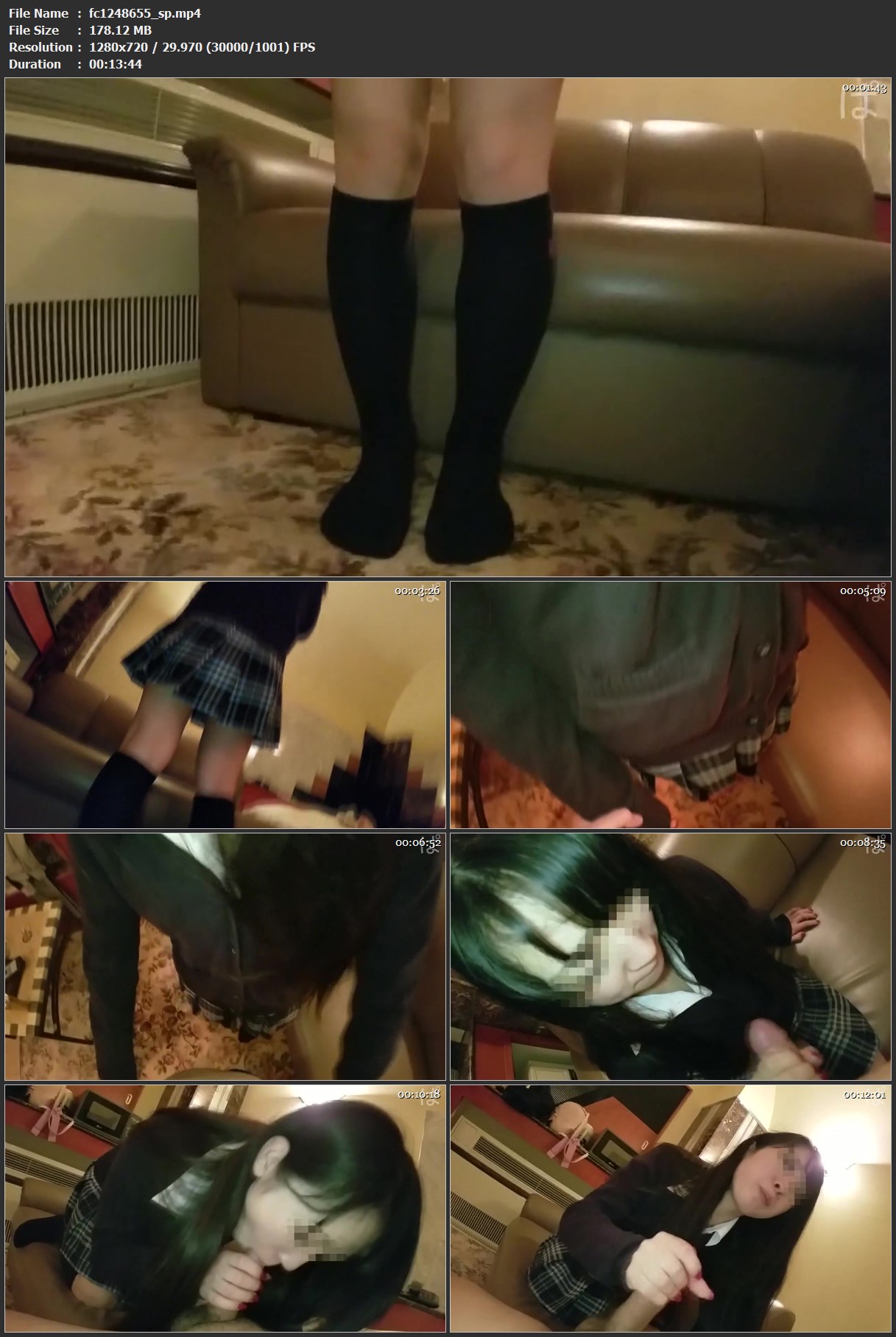 fc1248655_sp.mp4.jpg