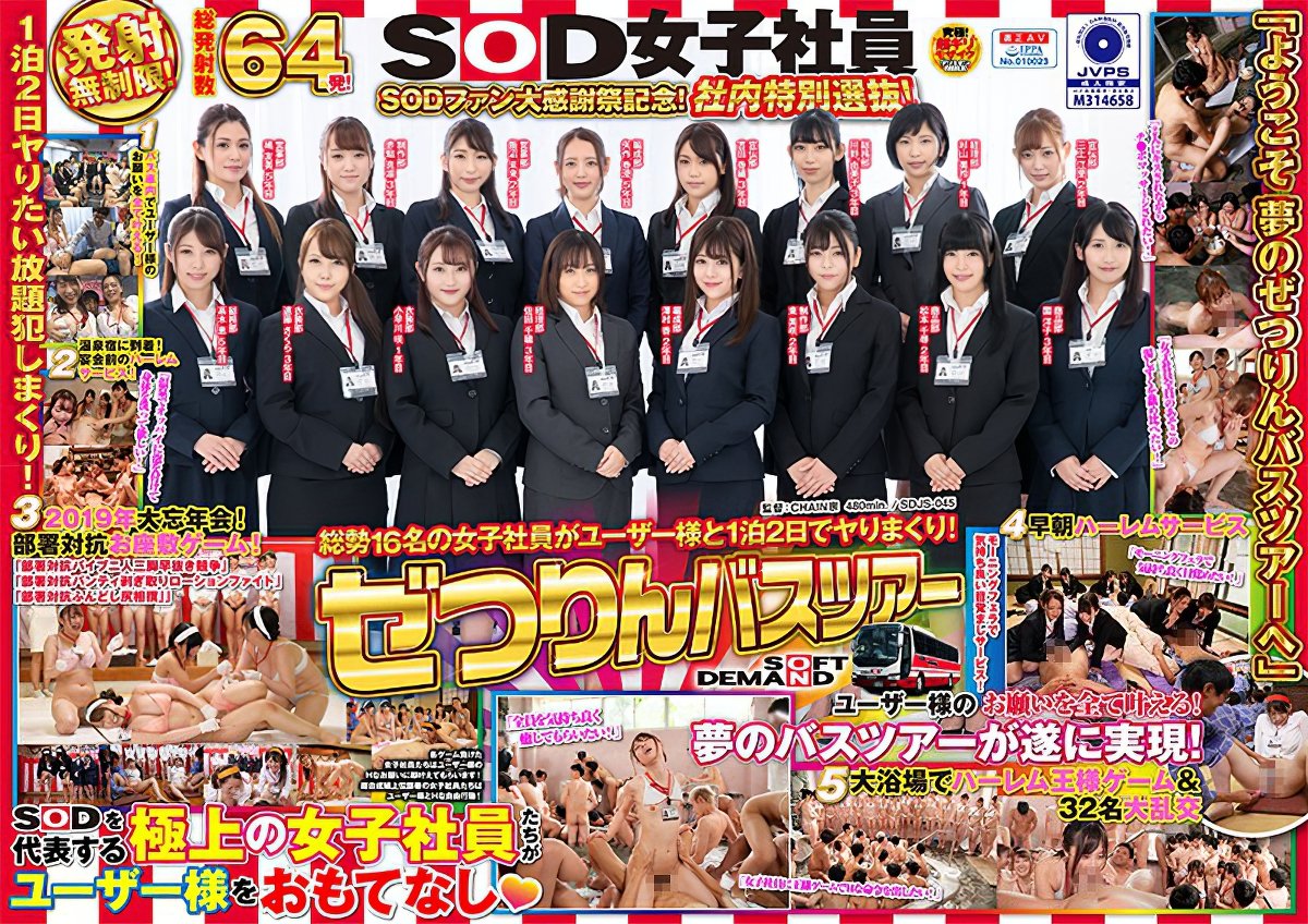 1sdjs00045pl.jpg