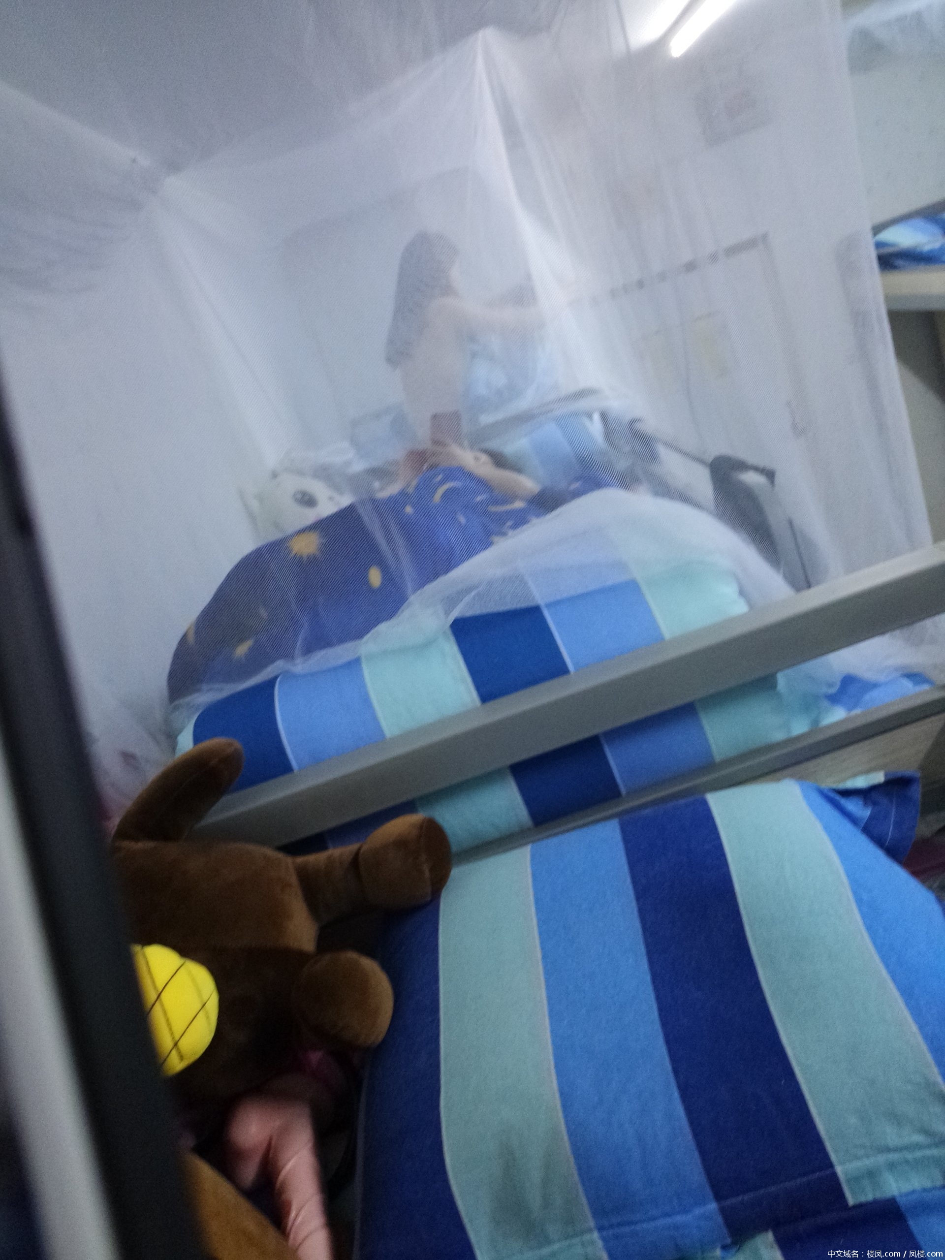 pic_0085d3543d767bdd79e.jpg pic_0085d3543d767bdd79e.jpg