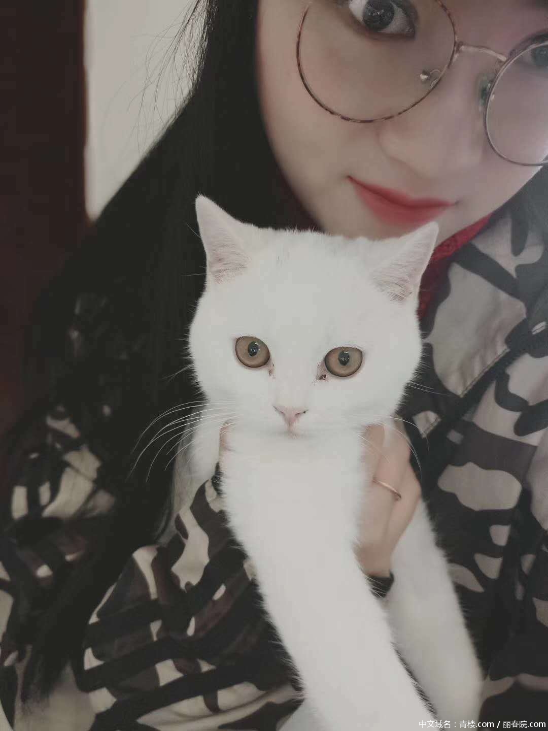 e2e40b2a16773cebab4e0da871483f86.jpg e2e40b2a16773cebab4e0da871483f86.jpg