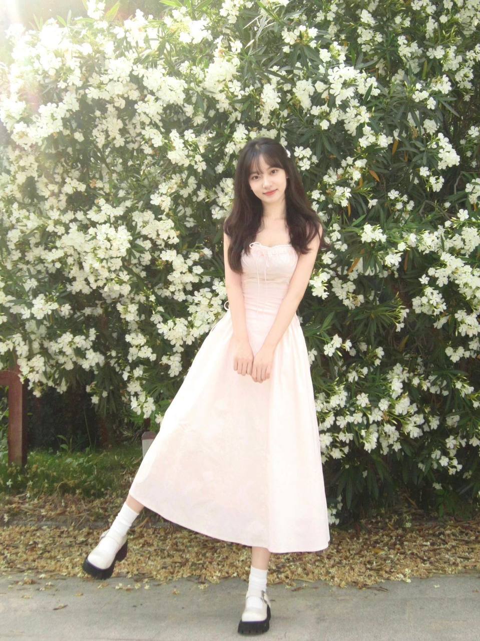 6145201910077047695.jpg 6145201910077047695.jpg